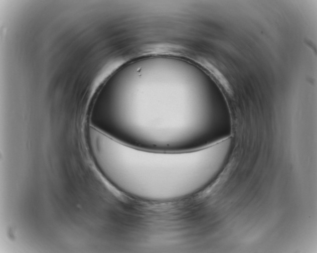 X0000096151285200801180821