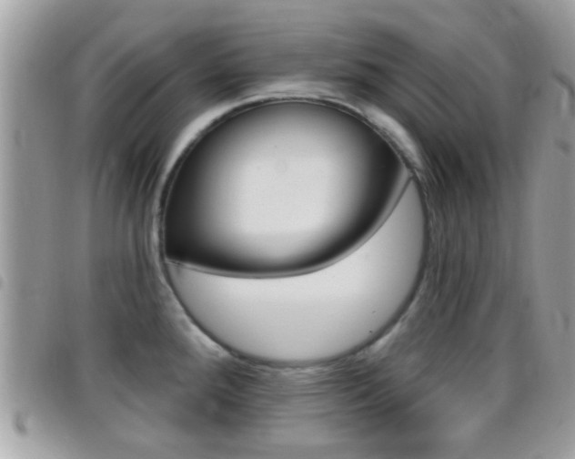 X0000096151288200801180821