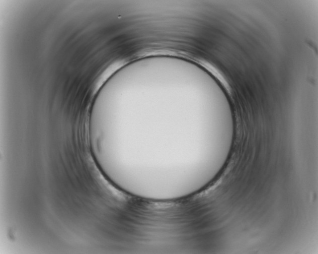 X0000096151290200801180821