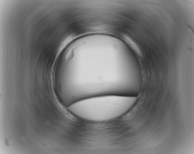 X0000096151291200801180821