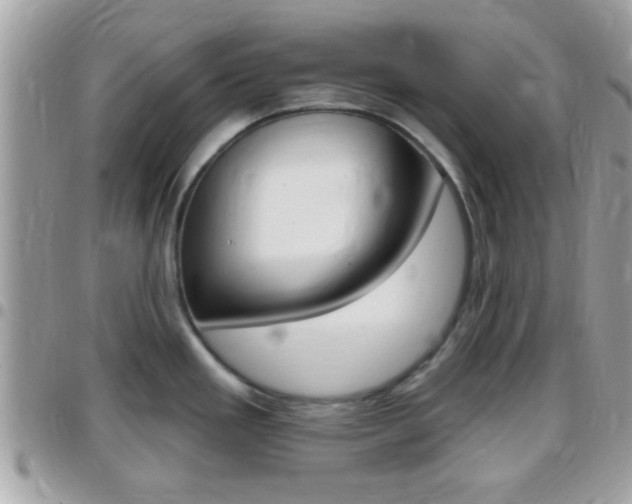 X0000096151293200801180821