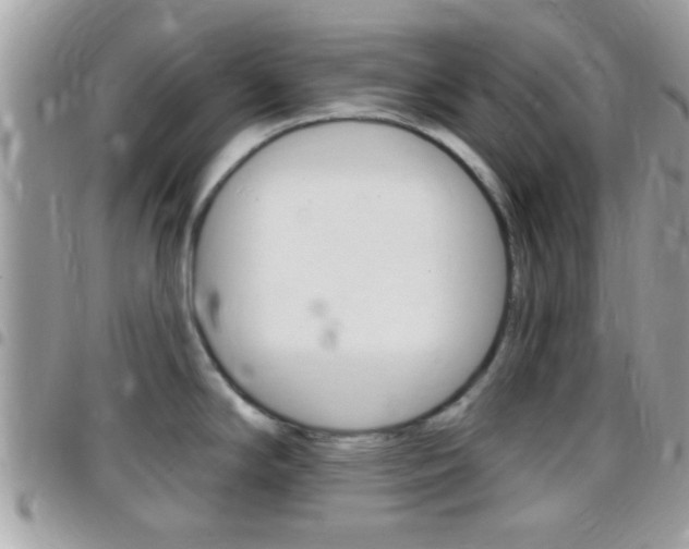 X0000096151294200801180821
