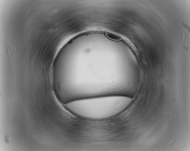 X0000096151295200801180821