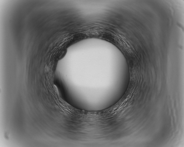 X0000096151297200801180820