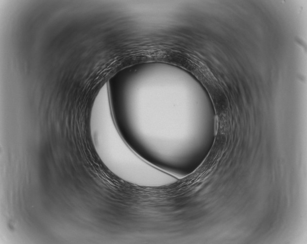 X0000096151298200801180820