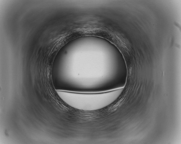 X0000096151300200801180820