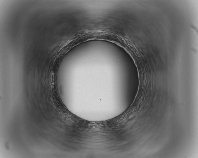 X0000096151301200801180820