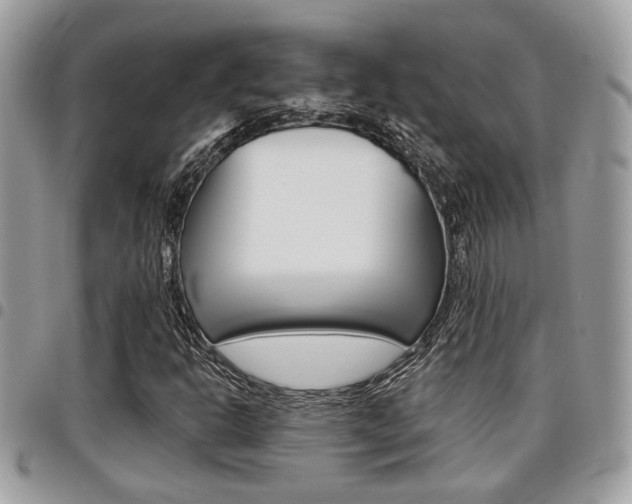 X0000096151302200801180820