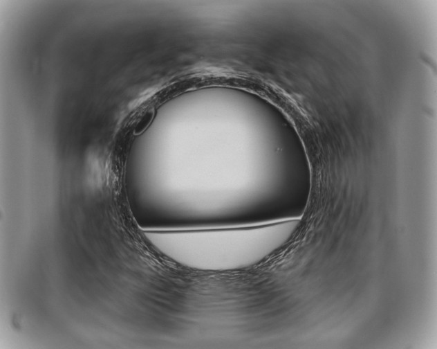 X0000096151303200801180820