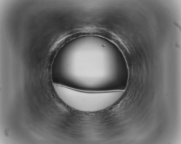 X0000096151304200801180820