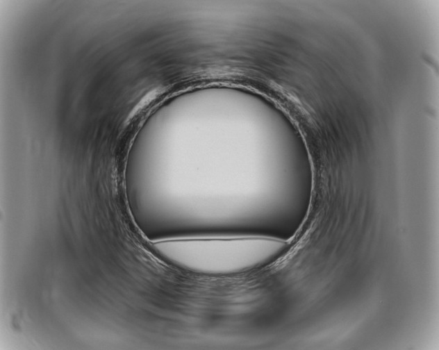 X0000096151306200801180820