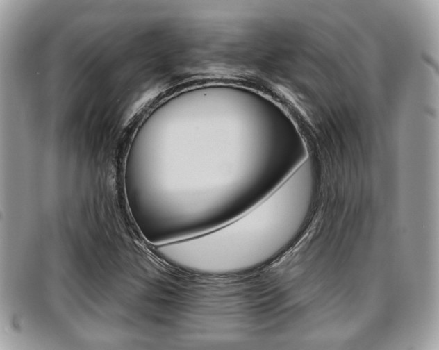 X0000096151307200801180820