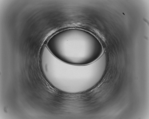 X0000096151308200801180820