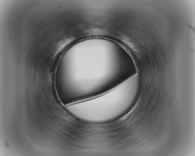 X0000096151309200801180820