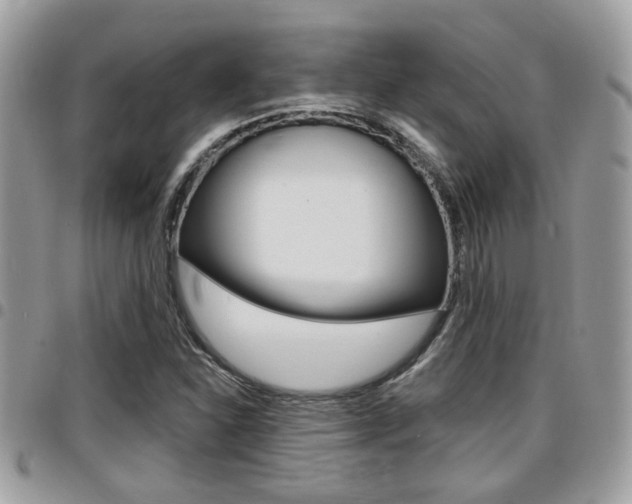 X0000096151310200801180820