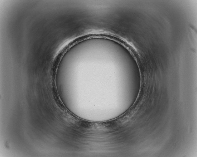 X0000096151311200801180820