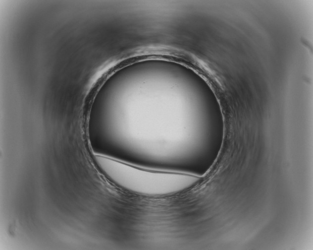 X0000096151312200801180820