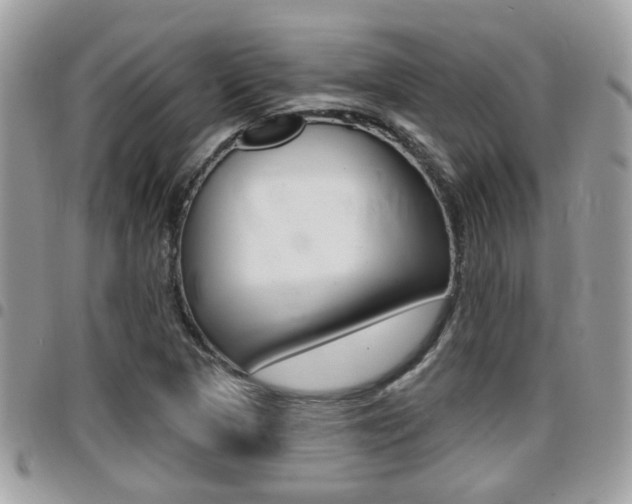 X0000096151313200801180820