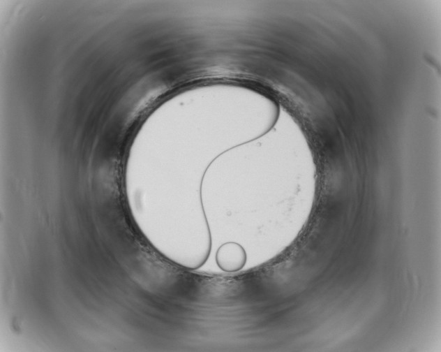 X0000096151314200801180820