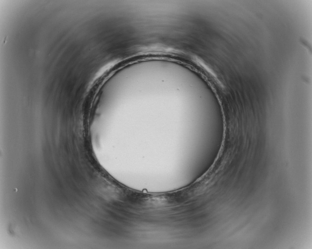 X0000096151315200801180820