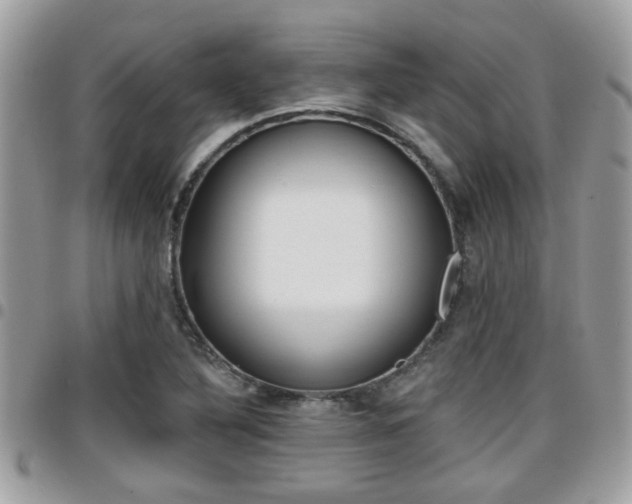 X0000096151316200801180820