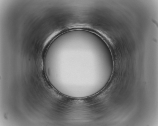 X0000096151317200801180820