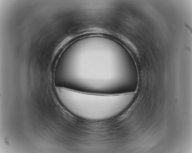 X0000096151318200801180820