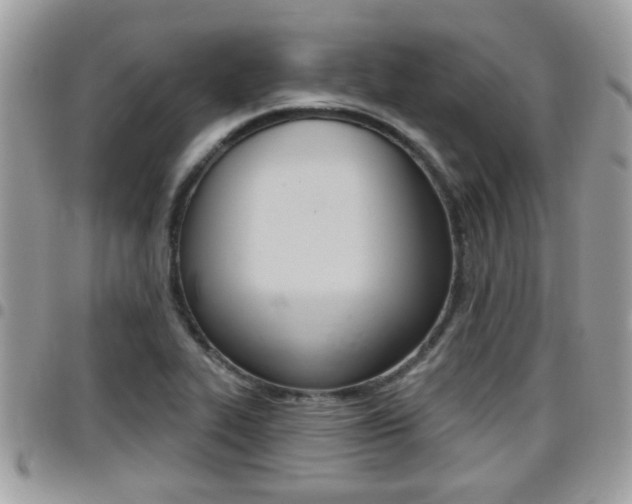 X0000096151319200801180820