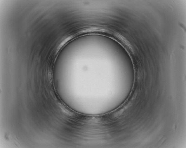 X0000096151321200801180821