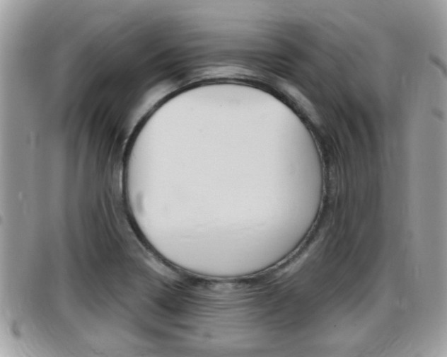 X0000096151322200801180821
