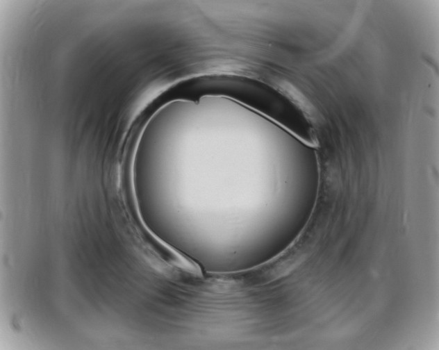X0000096151324200801180821