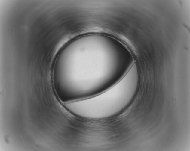 X0000096151326200801180821