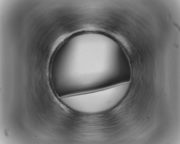 X0000096151327200801180821