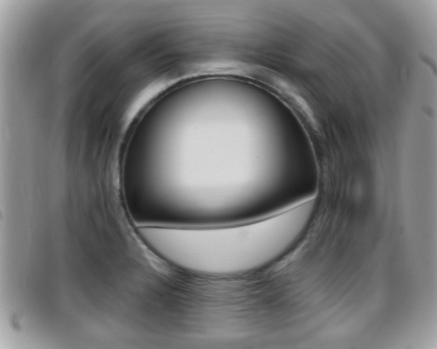 X0000096151328200801180821
