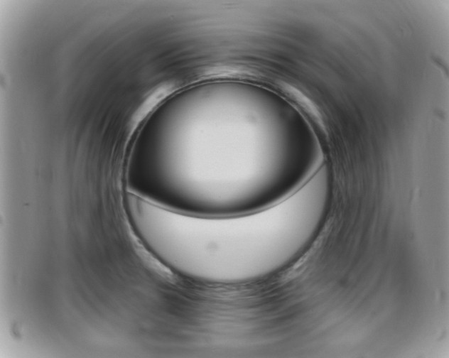 X0000096151330200801180821