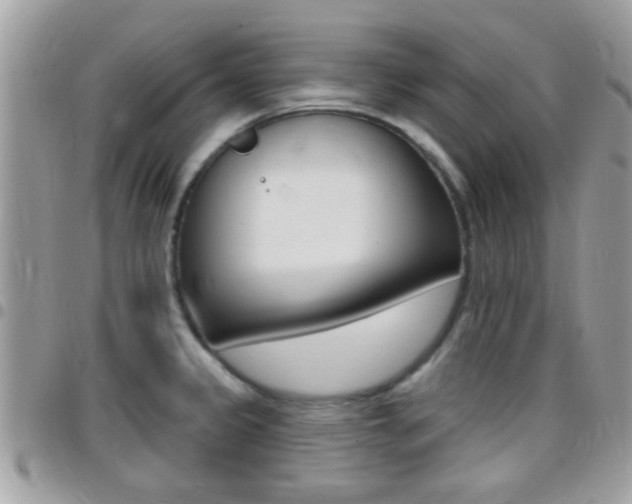 X0000096151333200801180821