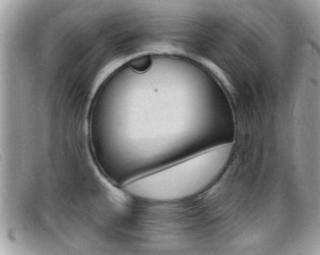X0000096151335200801180821