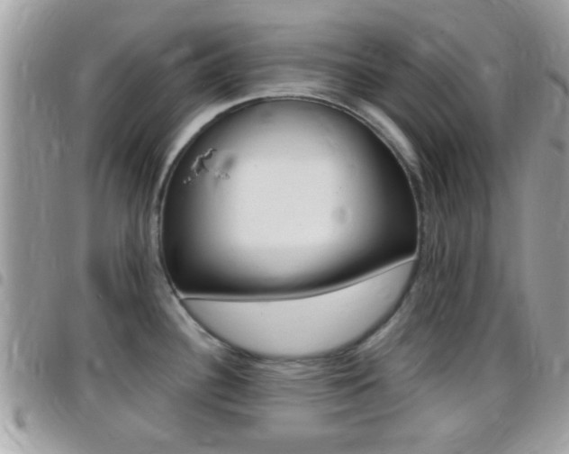 X0000096151340200801180821