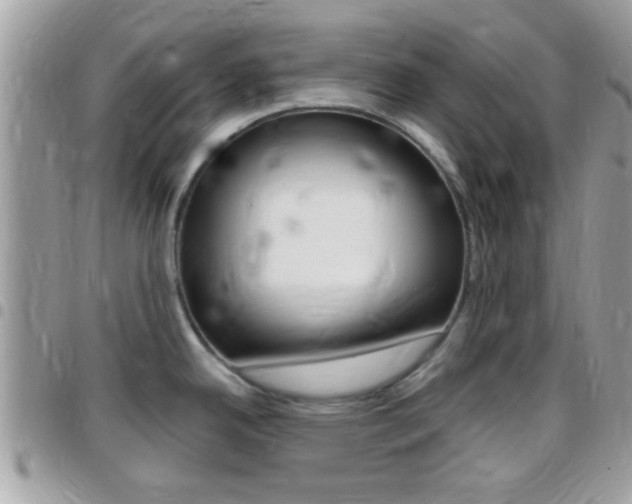 X0000096151342200801180821