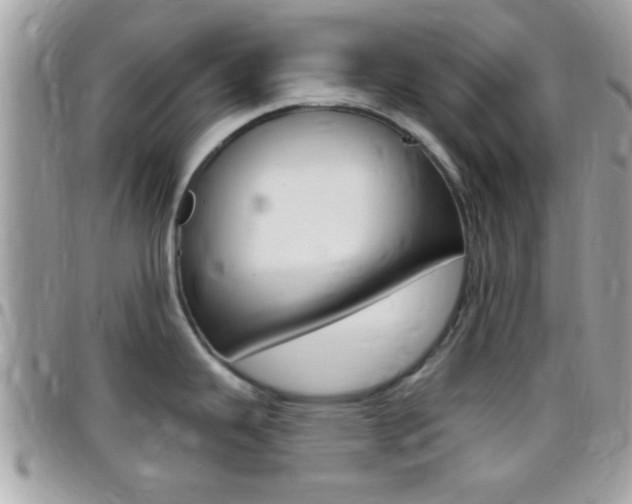 X0000096151343200801180821