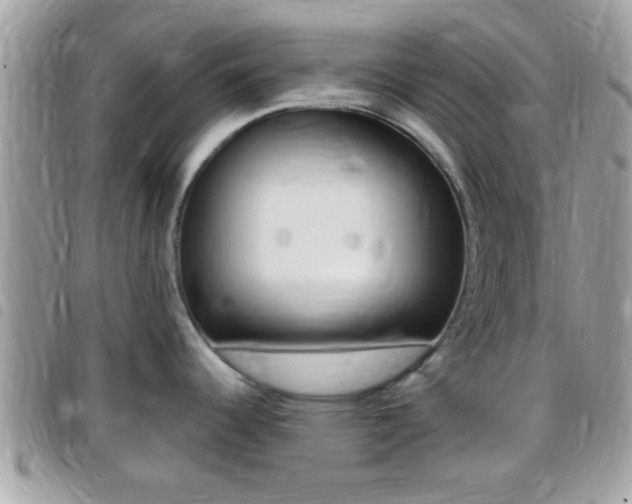 X0000096151344200801180821