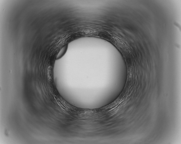 X0000096151346200801180820
