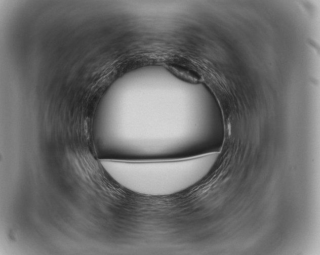 X0000096151347200801180820