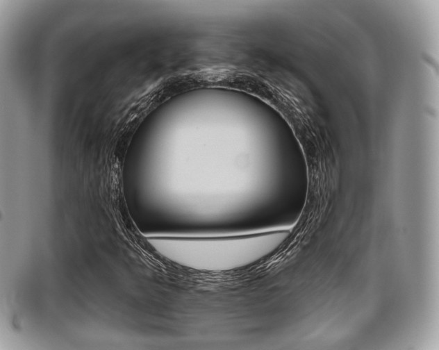 X0000096151349200801180820