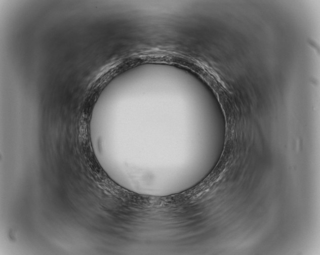 X0000096151350200801180820