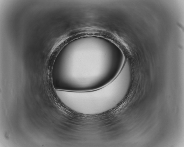X0000096151352200801180820