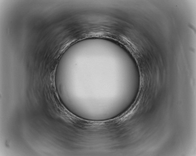 X0000096151353200801180820