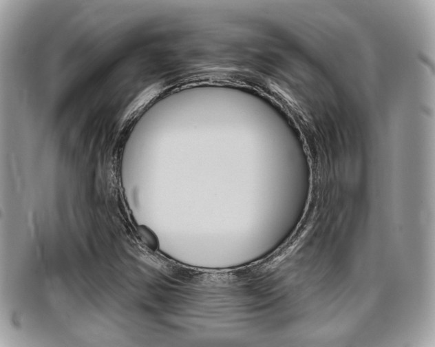 X0000096151354200801180820