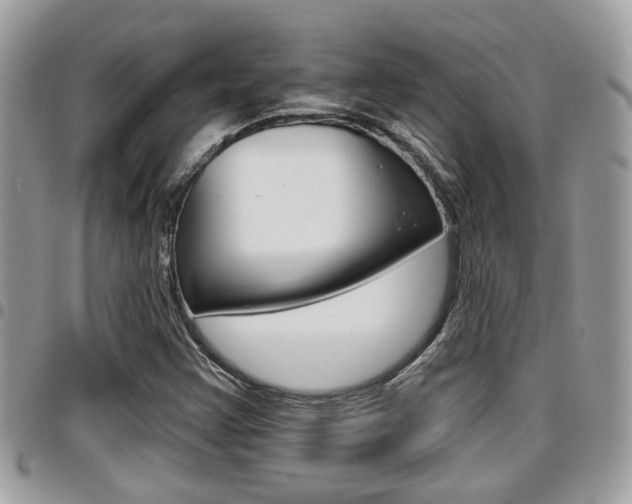 X0000096151355200801180820