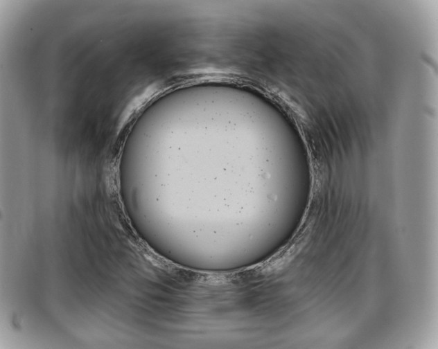 X0000096151357200801180820